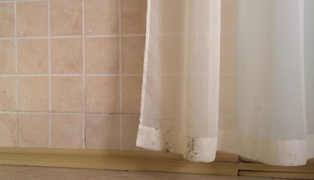 Best Mold Remediation for Healthcare Facilities  in Wescosville, PA