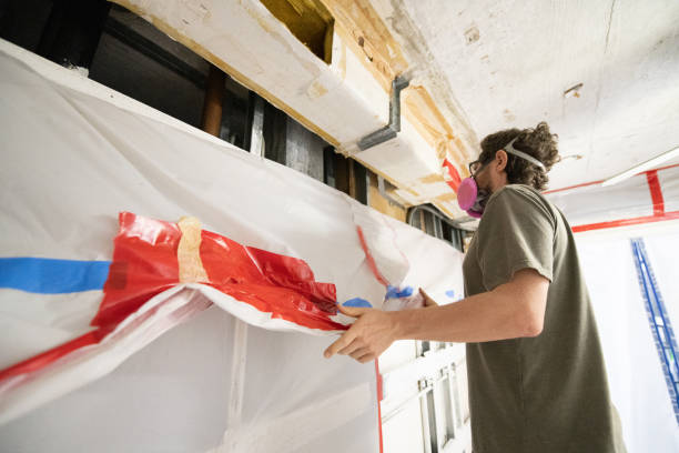 Best Black Mold Removal  in Wescosville, PA