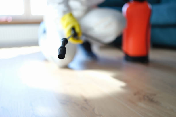 Best HVAC Mold Inspection and Cleaning  in Wescosville, PA