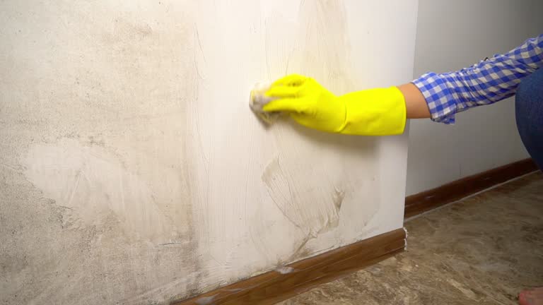 Best Post-Remediation Verification Testing  in Wescosville, PA