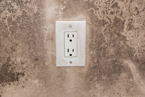 Mold Documentation for Insurance Claims in Wescosville, PA